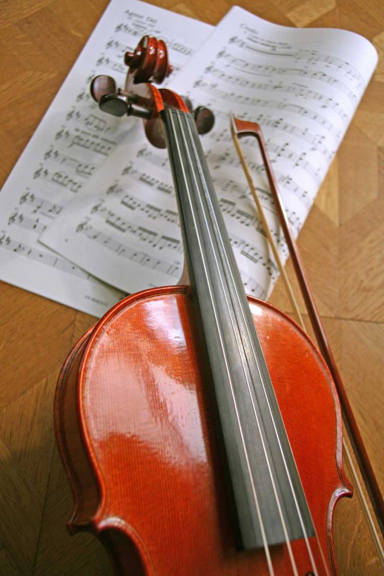 Violine